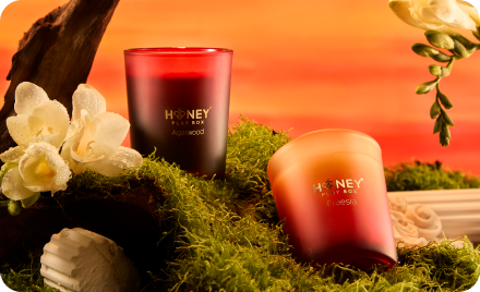 Non App-Controlled Toys