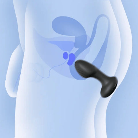 FRENZY<br>App-Controlled Rotating Anal Vibrator