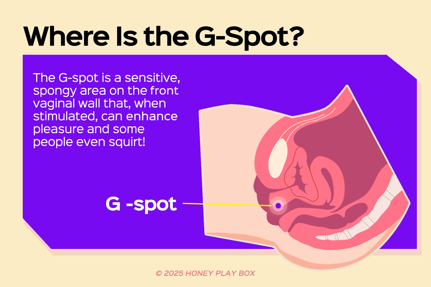 G spot stimulated