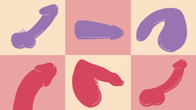 An Ultimate Guide To Penis Size, Type, And Great Sex For Different Types Of Penises