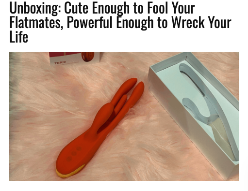 TERRI review from Honey Play Box Partner Whoreuro