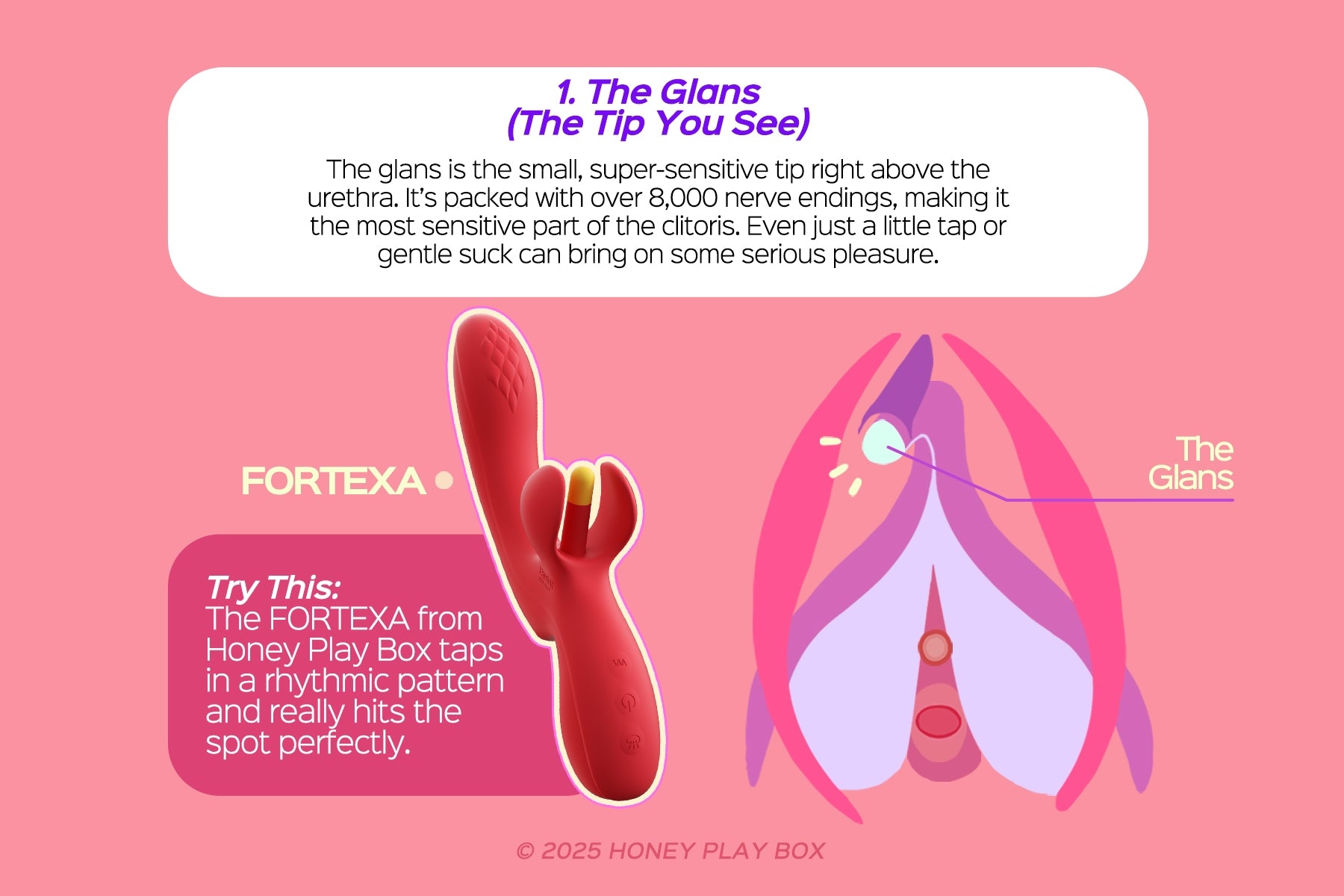 Fortexa clit tapping rabbit vibrator