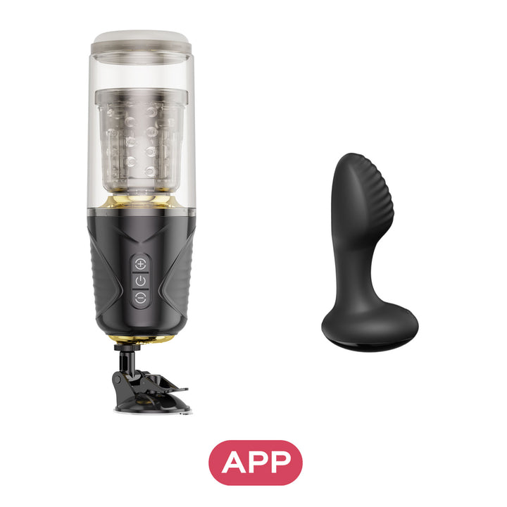 GALE × FRENZY - Honey Play Box Official