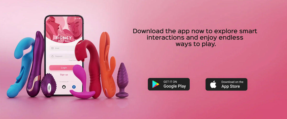 app-20241205
