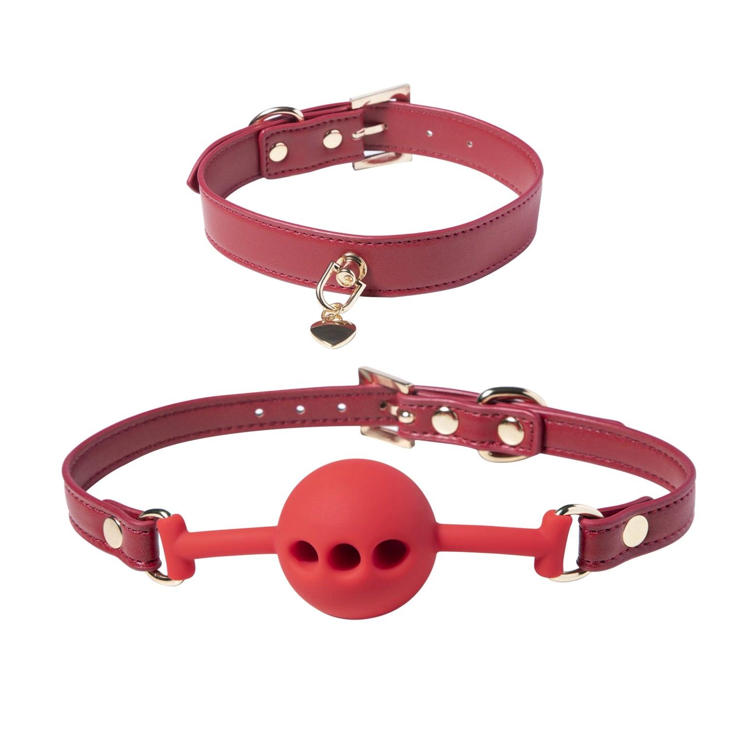 RED PASSION 8 Piece Vegan Leather Bondage Kit - Honey Play Box Official