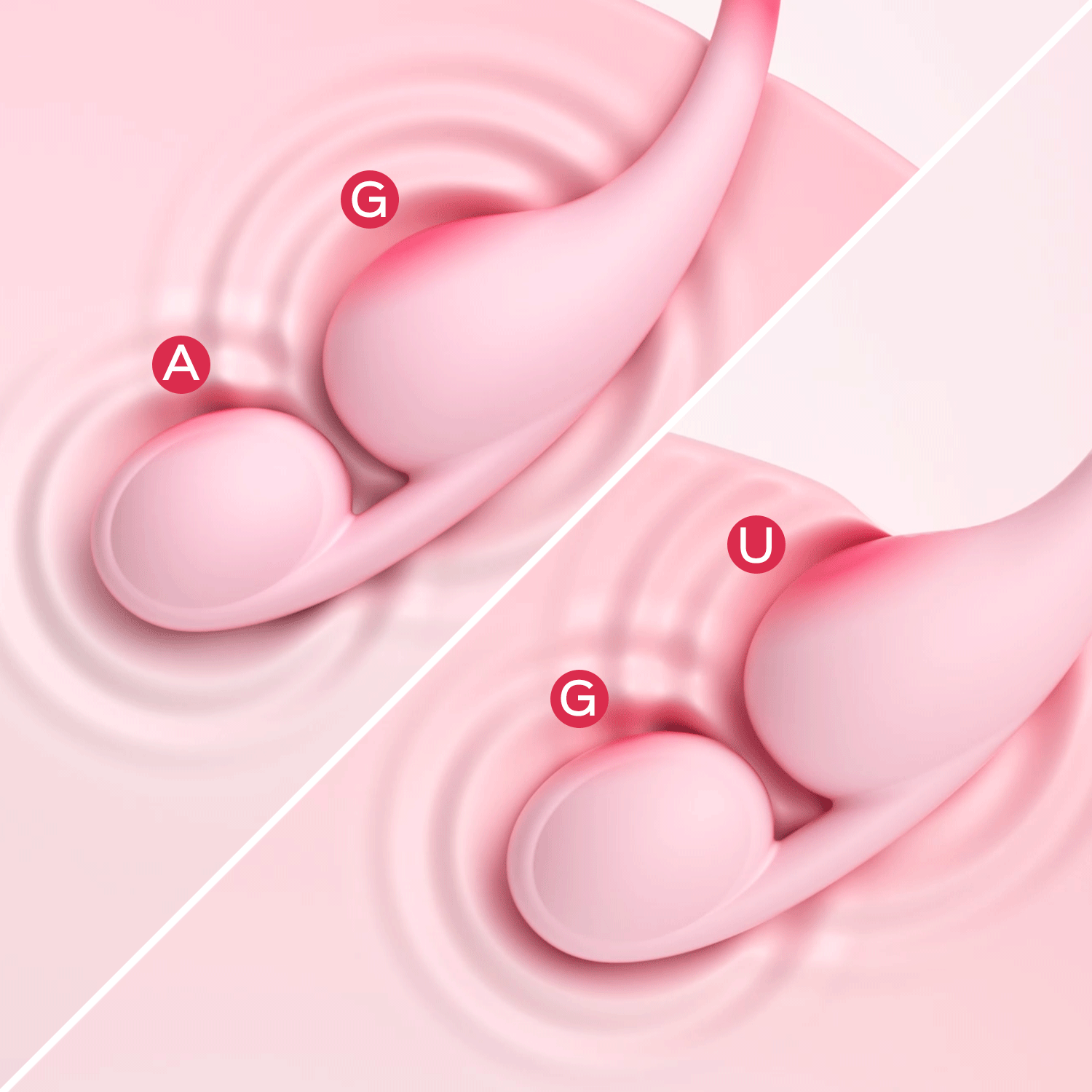 G, U A -spot stimulation every time with Honey Play Box VIBROSA app-controlled vibrator for personalized pleasure