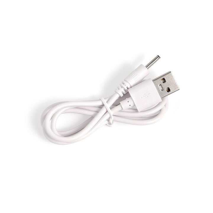The Honey Wand Plus Charging Cable Replacement - Honey Play Box